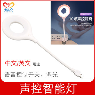 「卡卡模型配件」科學實驗器材人工智慧語音聲控床頭燈USB控制燈感應燈LED插口檯燈
