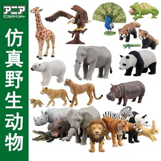 TOMICATOMY安利亞模擬野生動物模型獅子大象長頸鹿熊貓男女孩玩具送禮玩具合金壓鑄模型diecast D1DM