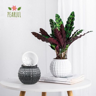 PEARL01水耕植物盆,自動澆水塑膠花盆,時尚可拆卸的迷你多肉花盆桌面花瓶對於植物和花卉
