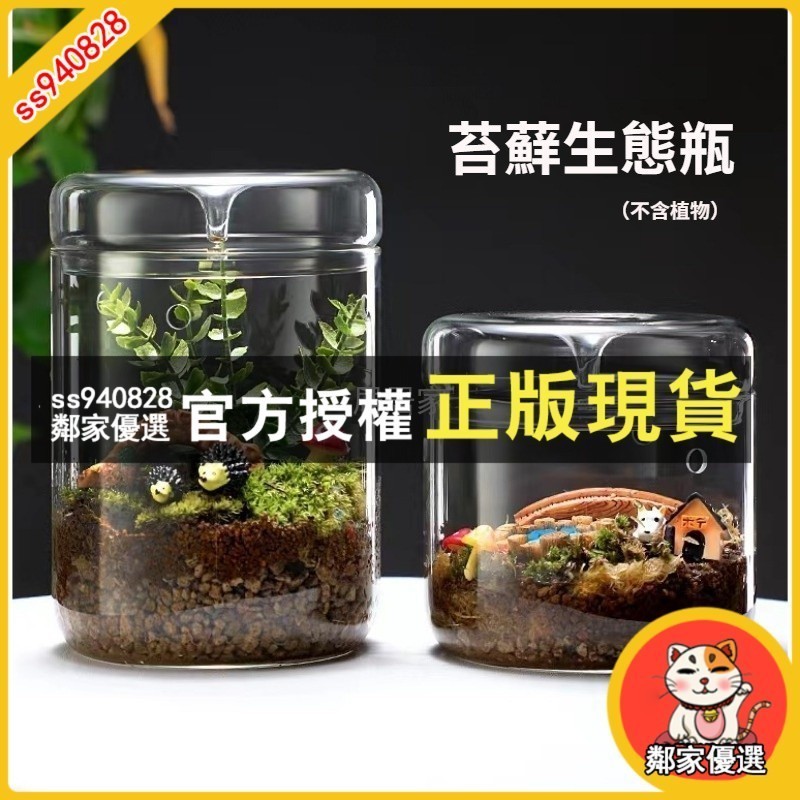 鄰家優選 苔蘚生態瓶 高透明玻璃露集杯 植物盆栽盆景生態玻璃瓶 帶孔微景觀玻璃罩 露集蓋玻璃容器 有孔青苔溫室杯雫雫瓶