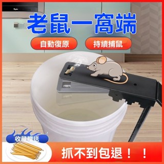 ✨在臺發貨✨【自動複原】滅鼠器連續抓老鼠神器傢用老鼠夾一窩端全自動捕鼠器撲捉耗子剋星