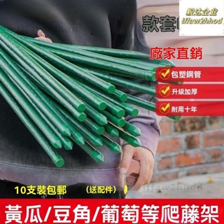 🏠免運~免運 爬藤架 葡萄藤桿 黃瓜支架 豆角爬架 種菜花支架 庭院園藝植物支撐桿 西紅柿架 菜園支架 果蔬支架 可開