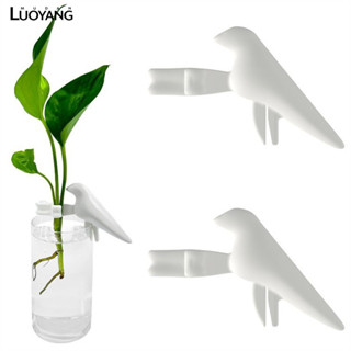 洛陽牡丹 植物固定器 植物莖支架