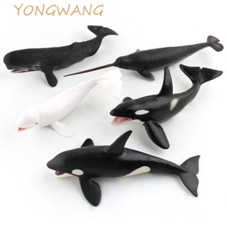 YONGWANG海洋動物模型,模擬抹香鯨鯨魚公仔,收藏海洋動物水下生物教育類海洋生物人物家居裝飾