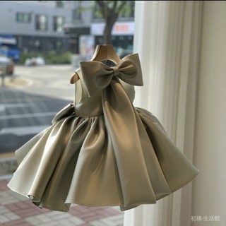 寵物衣服 狗狗衣服 貓咪衣服 狗狗公主裝 寵物洋裝 寵物貓咪狗狗衣服防掉毛泰迪比熊雪納瑞春夏可愛小裙子公主風