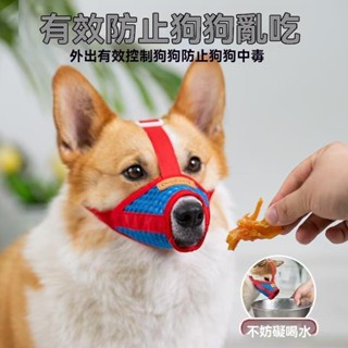 【臺灣出貨】防咬防叫狗狗嘴套防咬亂叫吃口罩小型犬柯基泰迪柴犬狗套狗罩套嘴巴套用品