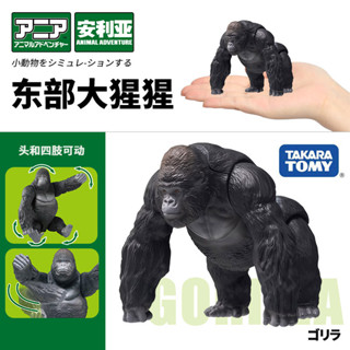 【925HOT】TOMYTOMICA安利亞動物模型模擬東部大猩猩擺件兒童認知玩具919353合金壓鑄模型diecast