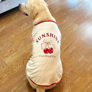 【臺灣出貨】狗狗衣服新款秋冬德絨保暖背心防髒拉布拉多金毛邊牧寵物中大型犬