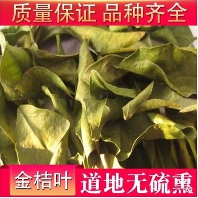 中藥中藥材 新貨桔葉金橘葉 橘葉 桔子葉 金桔葉500克 可打粉