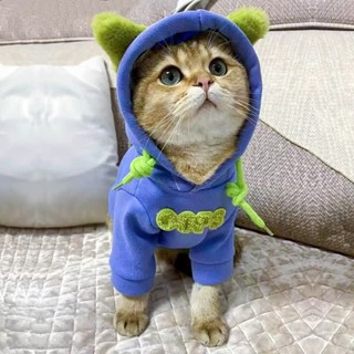 【高檔】現貨貓咪衣服潮牌寵物大學T加厚保暖布偶銀漸層英短幼貓小狗狗冬季服飾