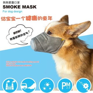 【臺灣出貨】寵物口罩 狗狗口罩 寵物用品 狗狗用品 狗狗一次性口罩寵物口罩防病毒防投餵專用口罩防霧霾小型犬泰迪
