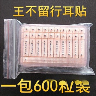 ✅臺灣出貨 王不留行籽 耳穴壓豆貼 傢用耳貼 耳穴貼 耳豆穴位模型 耳朵探穴筆探針