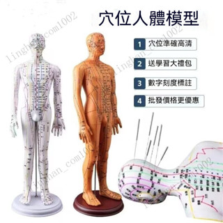 人體針灸模型 經絡穴位 針灸模型 全身十二銅人模特 不易掉色 可紮針 人體針灸 人體穴道 經絡銅人