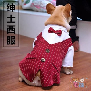 現貨 《現貨下單》寵物狗貓西裝外套泰迪小型犬貓咪春夏季狗狗衣服薄款西裝襯衫外套 婚禮禮服 寵物洋裝 狗狗衣服