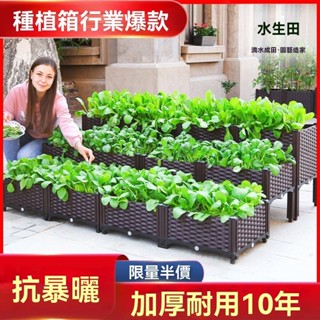 廠家直銷 室內種植箱 戶外花盆 大花盆 塑膠花盆 塑膠花盆 種菜神器長方形樓頂家庭陽臺塑膠大花盆戶外庭院種菜盆蔬菜種植箱