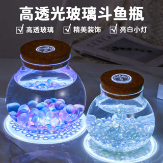生態缸 迷你生態瓶 苔蘚生態瓶 2025新款玻璃鬥魚缸創意小型桌面缸生態瓶帶燈辦公室微景觀金魚缸