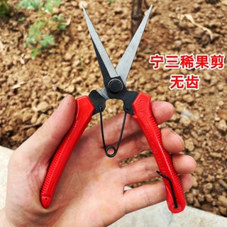 【臺灣出貨】寧三錳鋼水果剪刀 葡萄剪刀 園藝剪刀 蘋果樹修枝剪刀 省力剪刀 無齒稀果剪