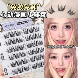⭐️生活社⭐️儒琳詩免膠小雛菊假睫毛自然仙子漫畫芭比大容量濃密分段懶人愛豆