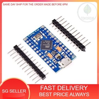 Pro Micro 開發板 Arduino IOT