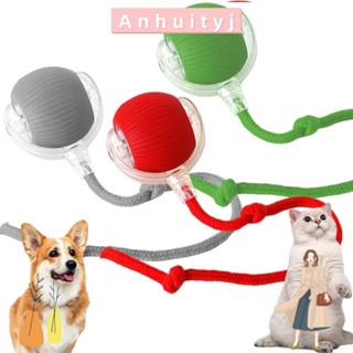ANHUITYJ智慧貓玩具,可充電模仿老鼠尾巴電動貓球玩具,自動快速軋製室內演奏狗貓訓練球寵物用品