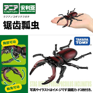 【925HOT】TOMYTOMICA安利亞模擬野生動物模型鋸齒瓢蟲甲蟲昆蟲玩具男908548合金壓鑄模型diecast