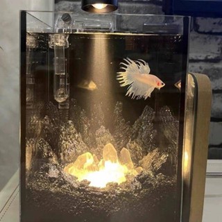 🚀臺灣出貨🚀天然紫鋰輝石消磁碎石小顆粒水晶碎石魚缸造景花盆裝潢原石小顆粒