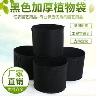 臺灣出貨│ 【1426人收藏】黑色美植袋種植袋 加厚植樹袋無紡布加厚育苗袋 無紡種植袋營養袋 園藝工具