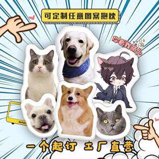 客製化抱枕 大頭抱枕 全身抱枕 人型抱枕 來圖訂製 免費摳圖 尺寸訂製 異形抱枕 異形抱枕客製 客製化造型枕 沙發裝