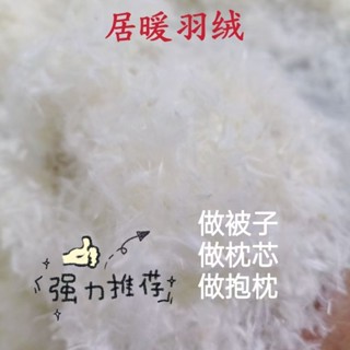 散裝白鴨絨羽絨白鵝絨枕芯散裝白鴨絨絨枕芯羽絨服羽絨被填充物製作羽絨枕清倉5.5