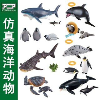 TOMYTOMICA安利亞模擬海洋野生動物模型海豹鯊魚白鯨鱷魚男孩玩具送禮玩具合金壓鑄模型diecast 3AX7
