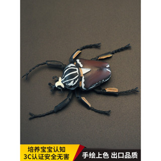 玩物院 實心兒童模擬昆蟲玩具動物模型大王花金龜歌利亞大角認知禮品擺件