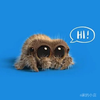 現貨Lucas盧卡斯蜘蛛公仔兒童毛絨玩具可愛spider獃萌爬蟲玩偶