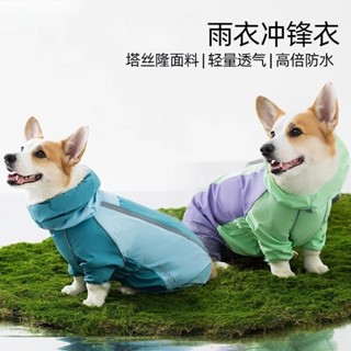 反光安全狗 ​​四季通用適合中小型犬柯基雨天外出衣服DD0430防水雨衣反光條設計
