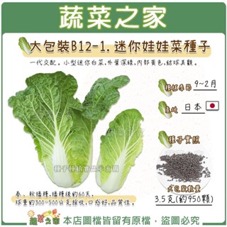 【蔬菜之家滿額免運】大包裝B12-1.迷你娃娃菜種子3.5克(約950顆) 小型迷你白菜 外葉深綠 內部黃色 結球美觀【