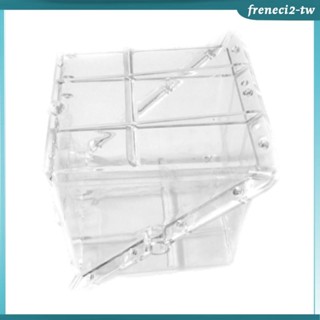 【FreneciecTW】方形西瓜生長模型成型整形工具實用花園獨特