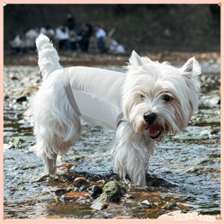 🧊夏季薄款❄️中大型犬衣服 【透氣排汗】狗狗涼涼衣背心冰絲夏季薄款寵物夏天衣服小狗降溫涼狗狗夏季衣服 大狗 中大犬衣服