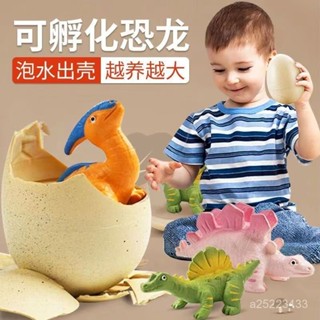 【甄選】膨脹恐龍公仔 恐龍蛋孵化 泡水 網紅衕款膨脹泡水變大霸王龍玩具 兒童禮物模擬動物模型
