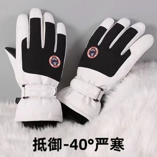 ✨買到賺到💗滑雪手套 男女士冬季加絨加厚手套 保暖手套 戶外騎行防風手套 觸屏防水防滑手套