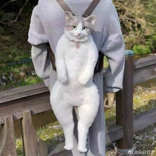 模擬動物貓咪可愛公仔揹包後揹包大容量毛絨玩偶