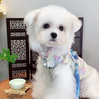 新中式民族風旗袍狗衣服小貓寵物衣服中小型犬
