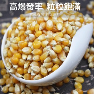 【穀粒穀力】爆米花專用玉米粒 1臺斤凍幹玉米粒 美國熬粥煮粥材料