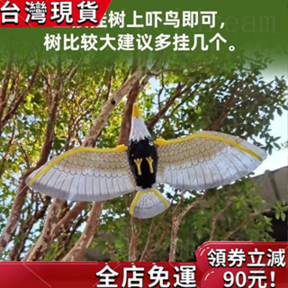 【桃園發貨】菜園䮠果園嚇鳥大號模擬老鷹模型塑膠玩具果園菜園嚇鳥䮠鳥 QXLM