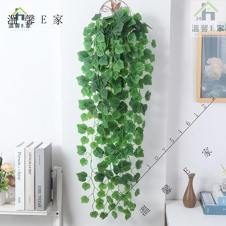 仿真植物葉子壁掛花 小綠蘿模擬綠葉 吊蘭人造綠植 模擬黃金葛吊籃 綠植 壁掛綠蘿盆栽 長藤假花藤條 吊花掛牆上 塑膠垂吊