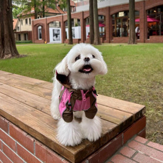 限時 優惠 現貨 熱賣 狗狗 衣服 秋冬 新款 粉紅 衝鋒衣 洋氣 帥氣 連帽 寵物 比熊 法鬥 泰迪 小型犬