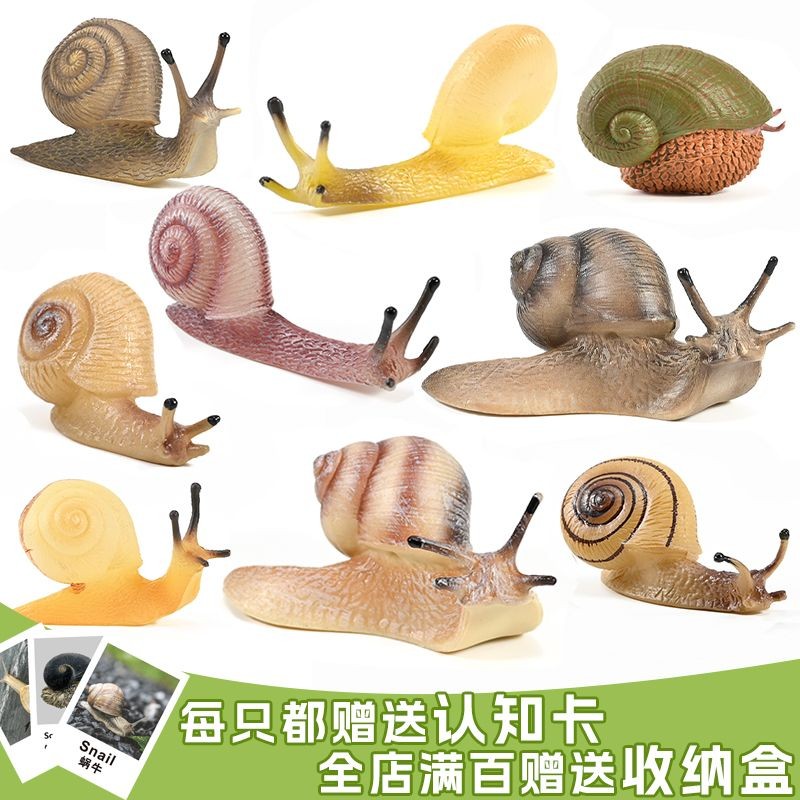 仿真蝸牛玩具昆蟲模型蝸牛套裝微景觀沙盤擺件兒童科教認知禮物zy25507
