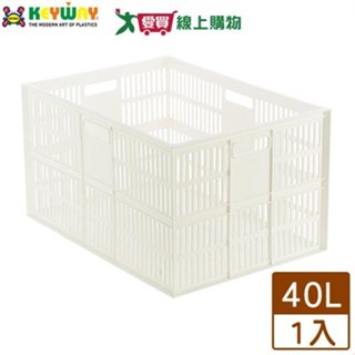 KEYWAY聯府 深型超大總理萬用籃 DT48 臺灣製 可堆疊 收納 置物 整理【愛買】