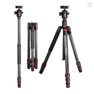 Toyutw)manbily MC-284 68.1 英寸可折疊三腳架相機支架帶球頭碳纖維 15kg/33lbs 負載能