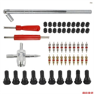 54 件裝輪胎氣門桿安裝拆卸器維修工具套件汽車氣門芯拉拔器
