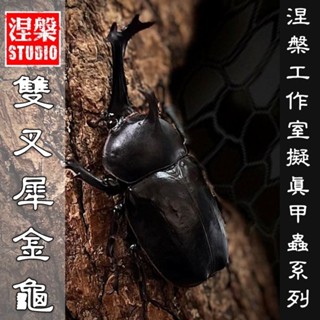 🔥現貨🔥獨角仙模型 涅槃工作室 雙叉犀金龜 甲蟲 昆蟲 鍬形蟲 擬真模型 擺飾 磁鐵 涅盤【JF文具】
