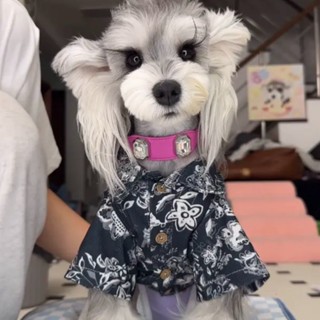 寵物衣服中小幼犬雪納瑞比格犬雅痞潮帥氣男友風網紅襯衫狗狗服裝